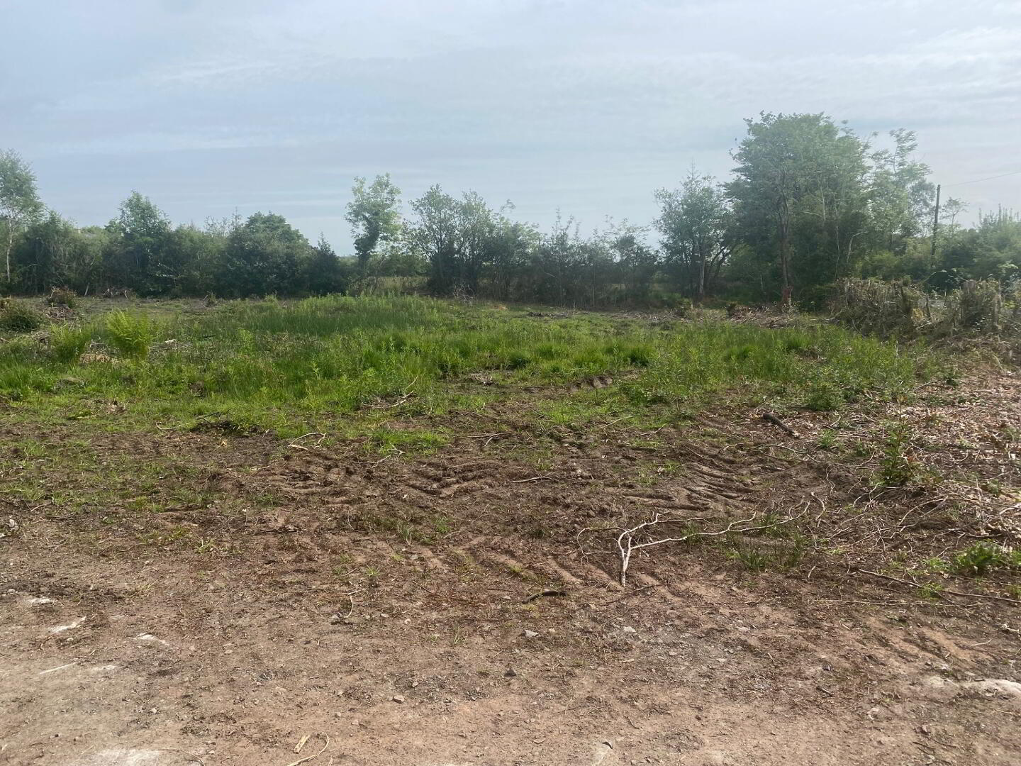 property description image