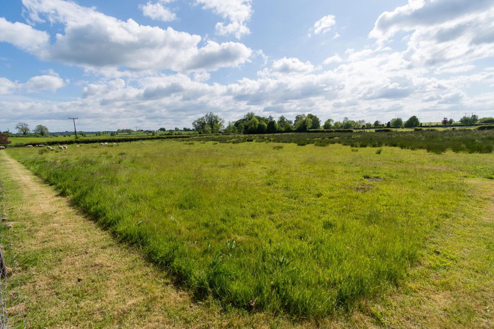 A Detached House With Stables And Field Of Approxima, 21 Lisburn Road 39 of 40