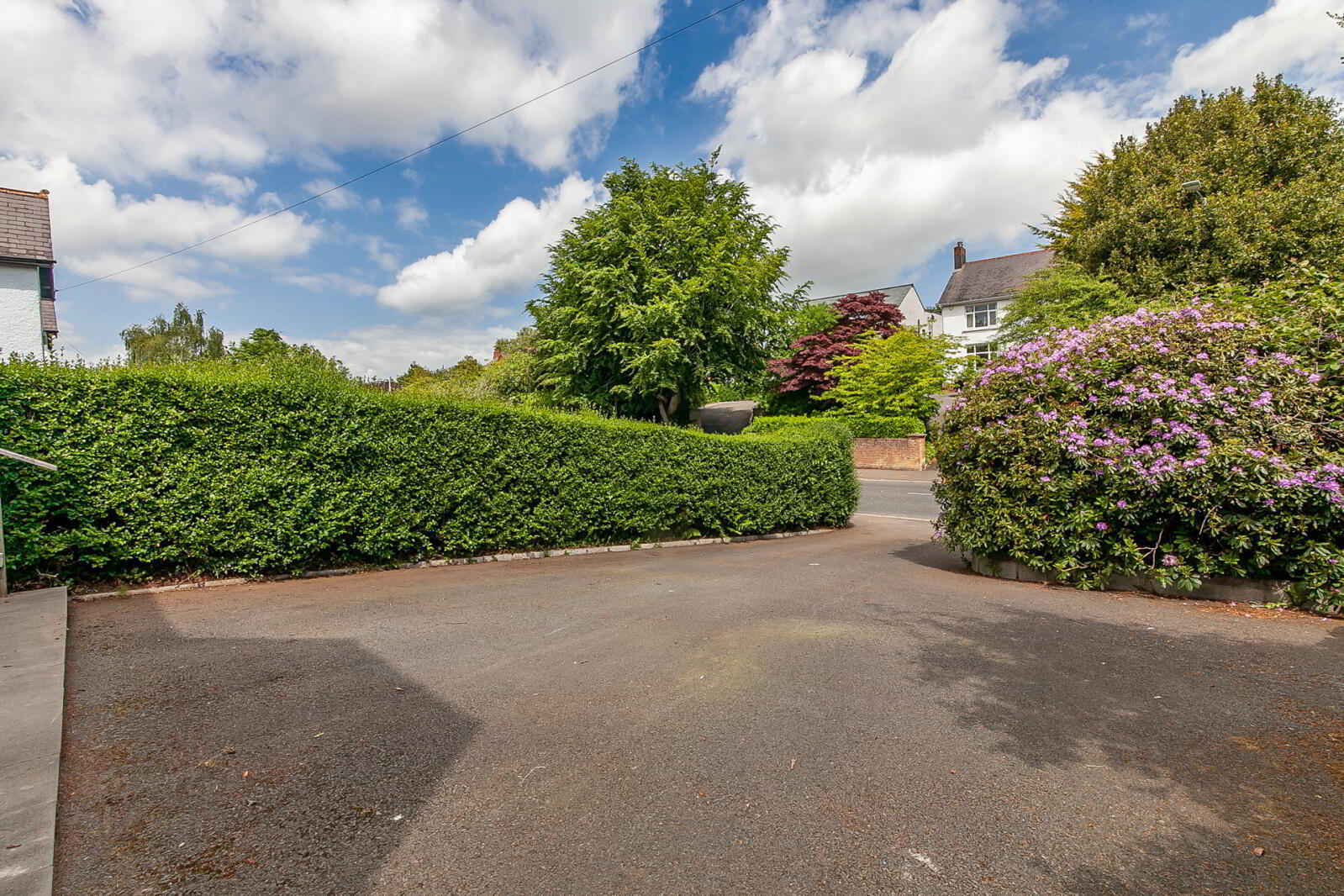 175 Sandown Road 48 of 54
