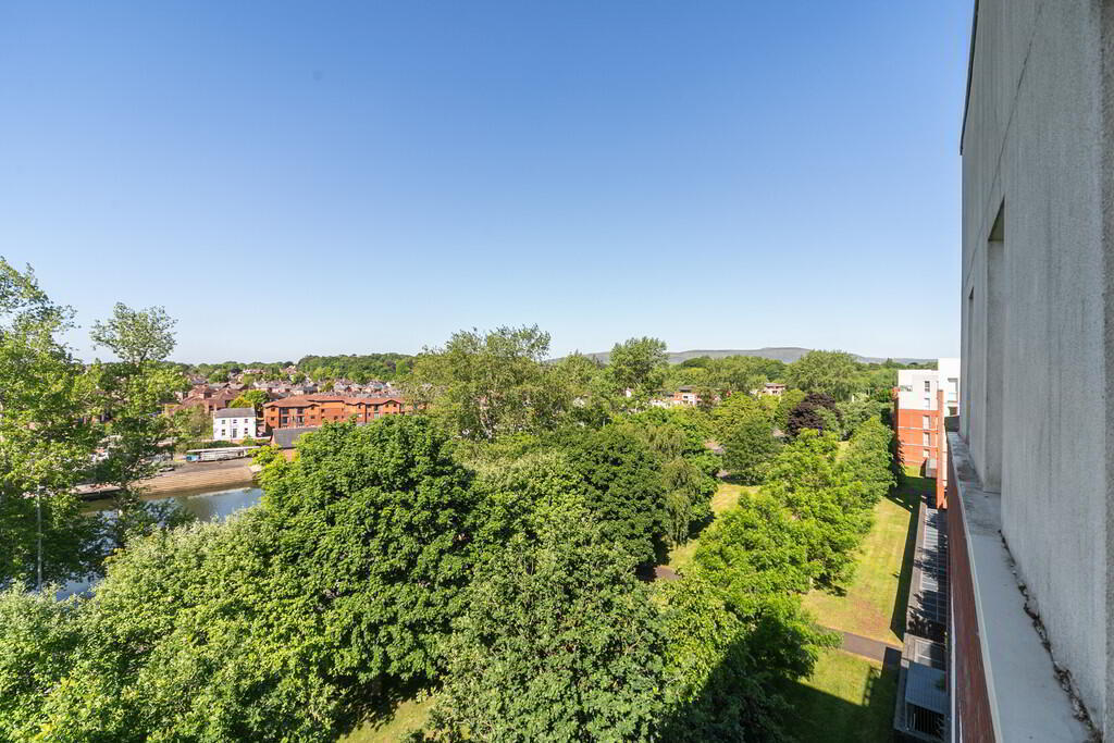 31 The Hull Building, 35 Annadale Crescent 19 of 19