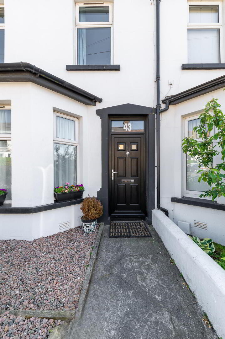 43 Springfield Road 5 of 38