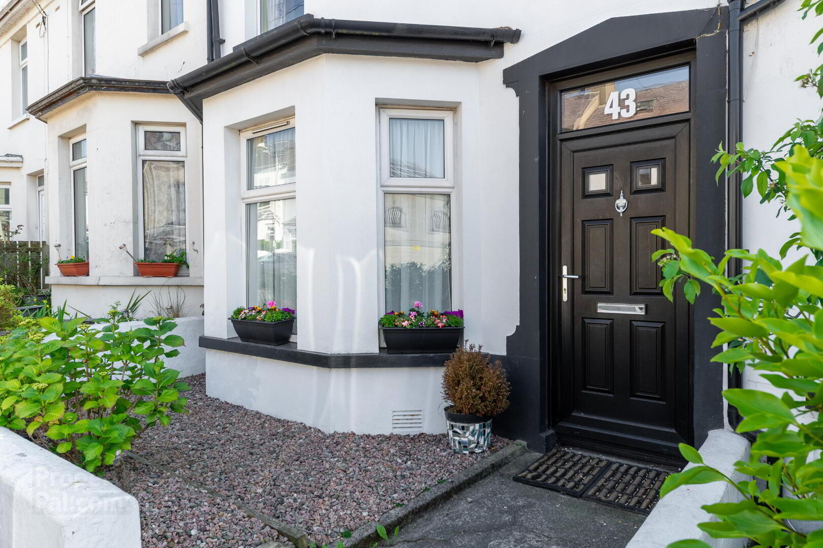 43 Springfield Road 4 of 38