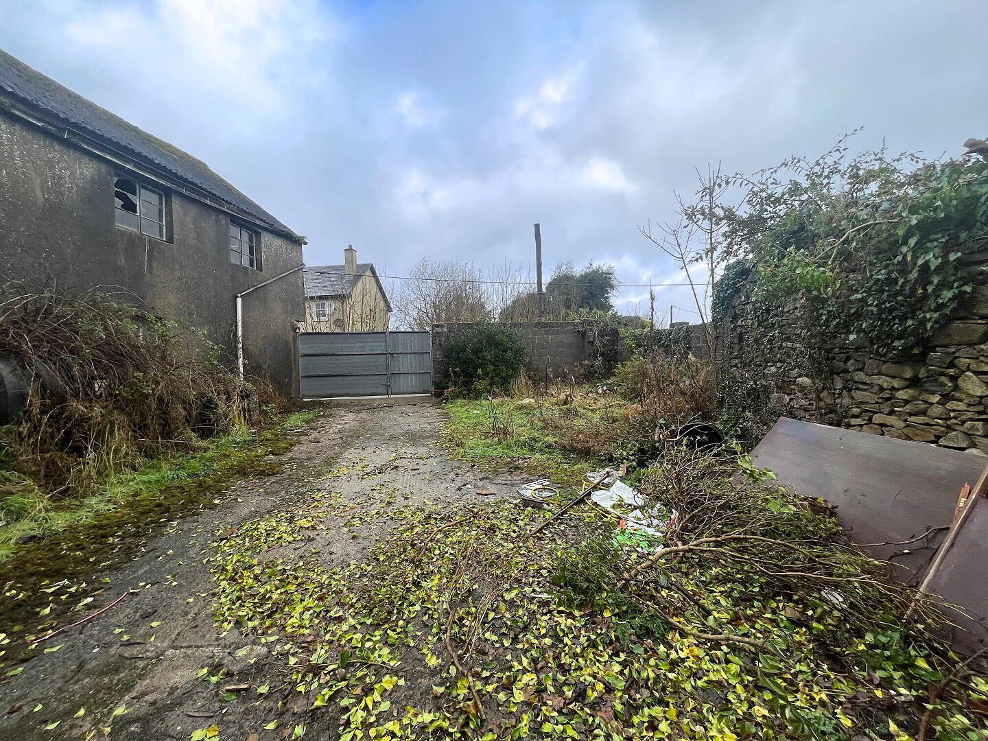 Aiden Street 16 of 19