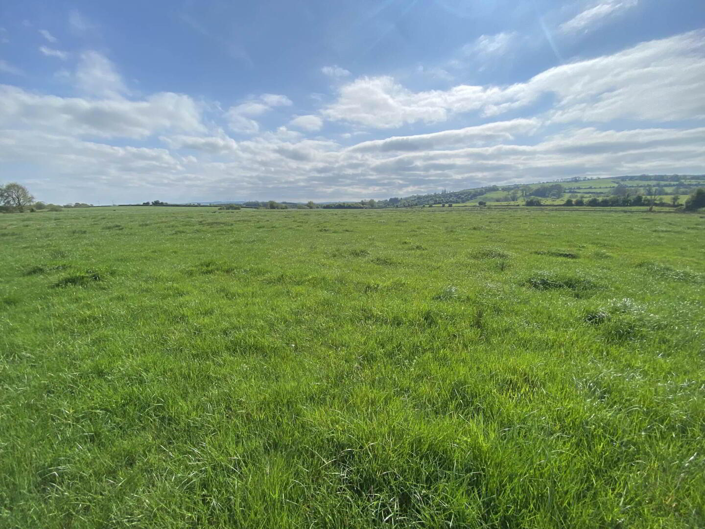 property description image