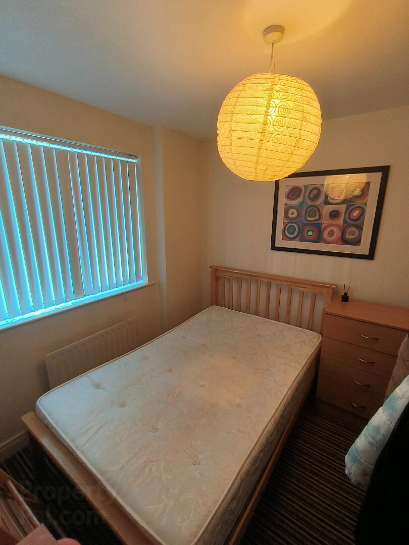 28 Lower Windsor Avenue 8 of 10