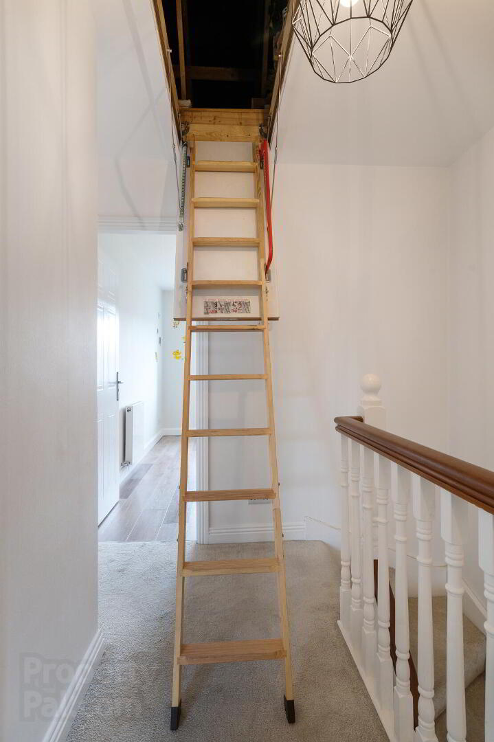 9 Carrigmore Lawns 18 of 28