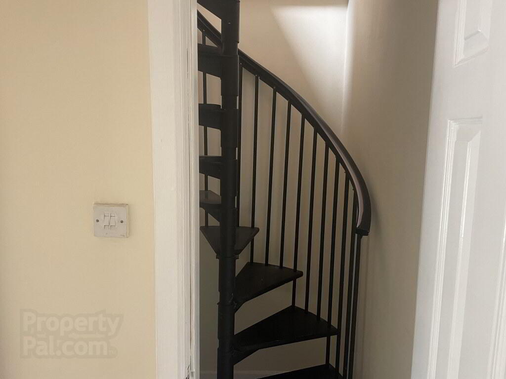 42 Mitchel Street 8 of 15