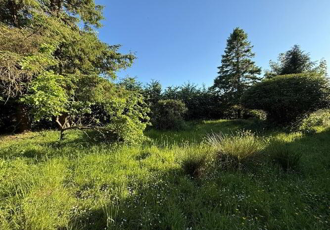 Castlemore 16 of 30