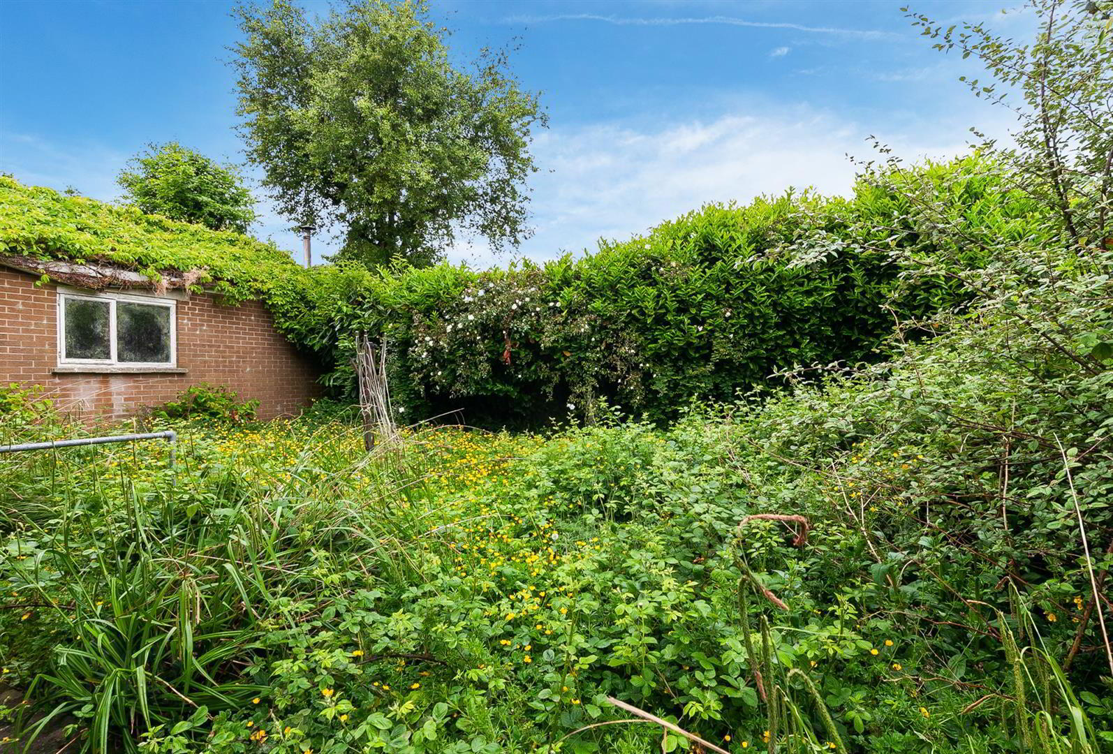 13 Glenwell Grove 19 of 20