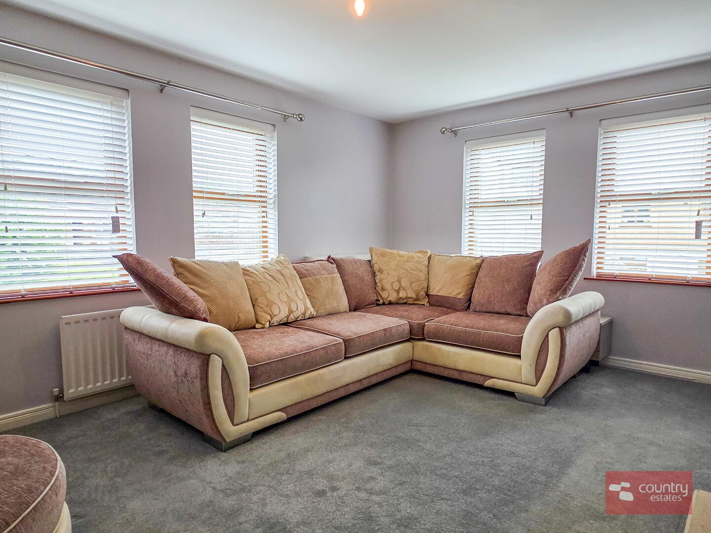 Apt 6 Mayfield Walk 10 of 20