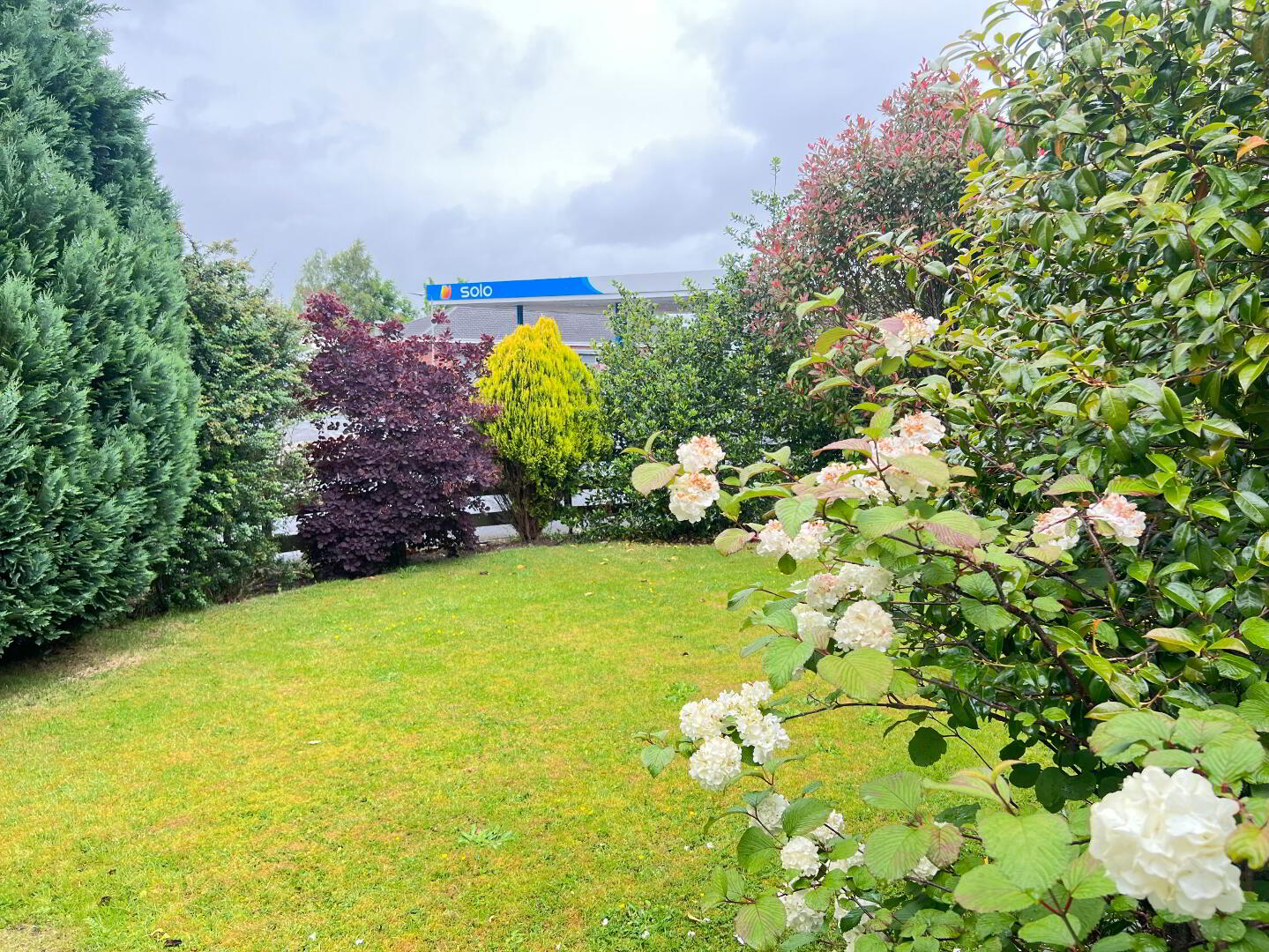 24 Wilton Grove 15 of 17