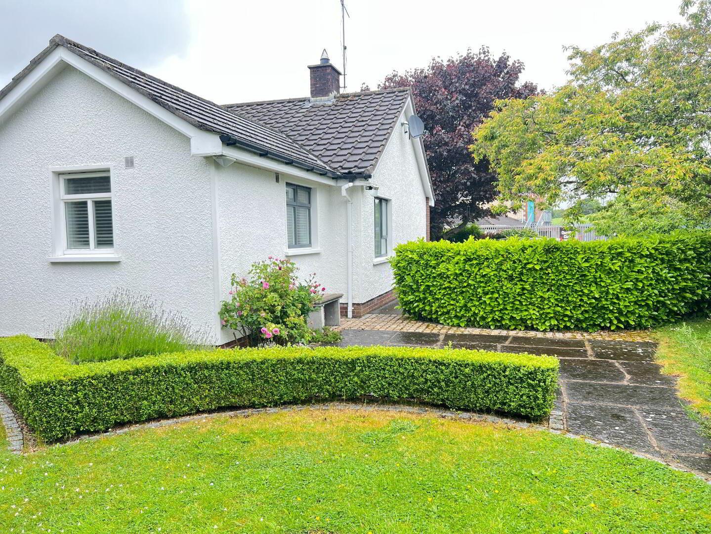 24 Wilton Grove 16 of 17