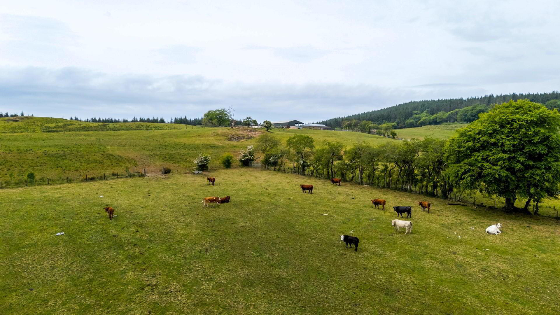 Land, Yard & Outbuildings At 11 of 14