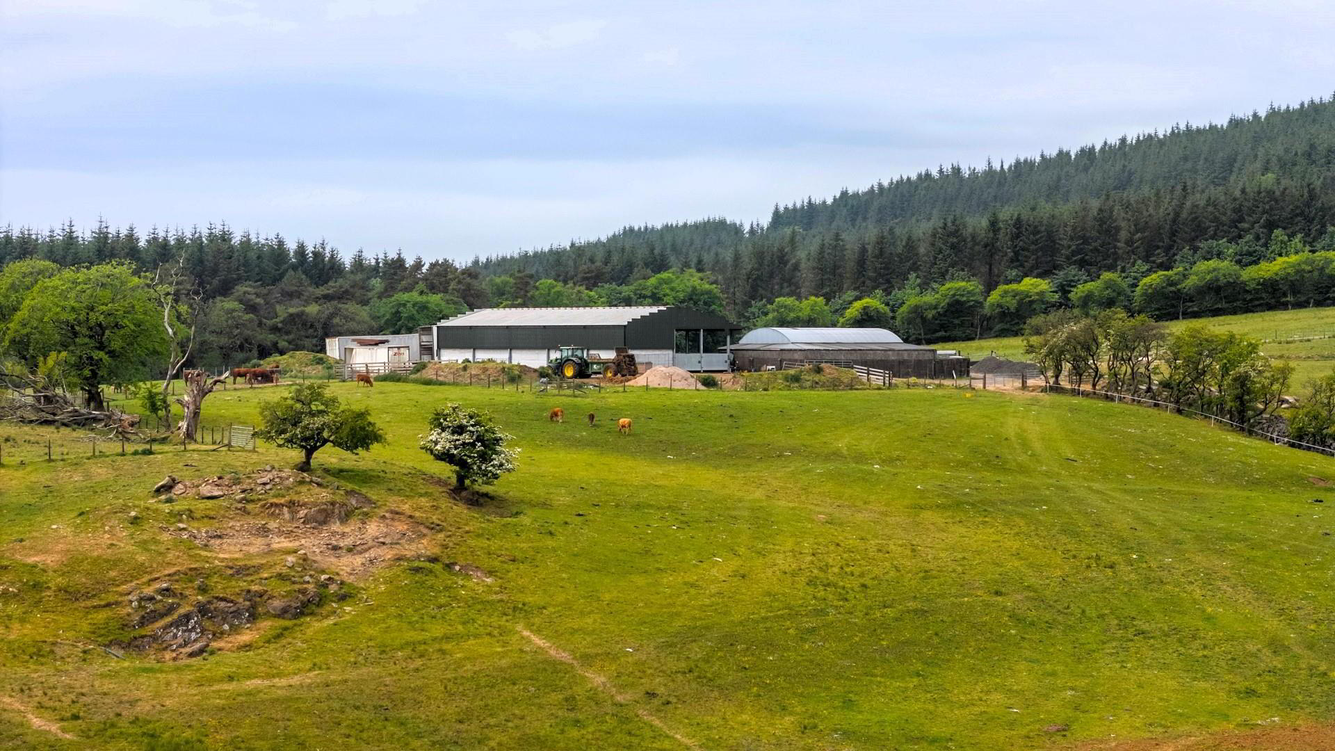 Land, Yard & Outbuildings At 12 of 14