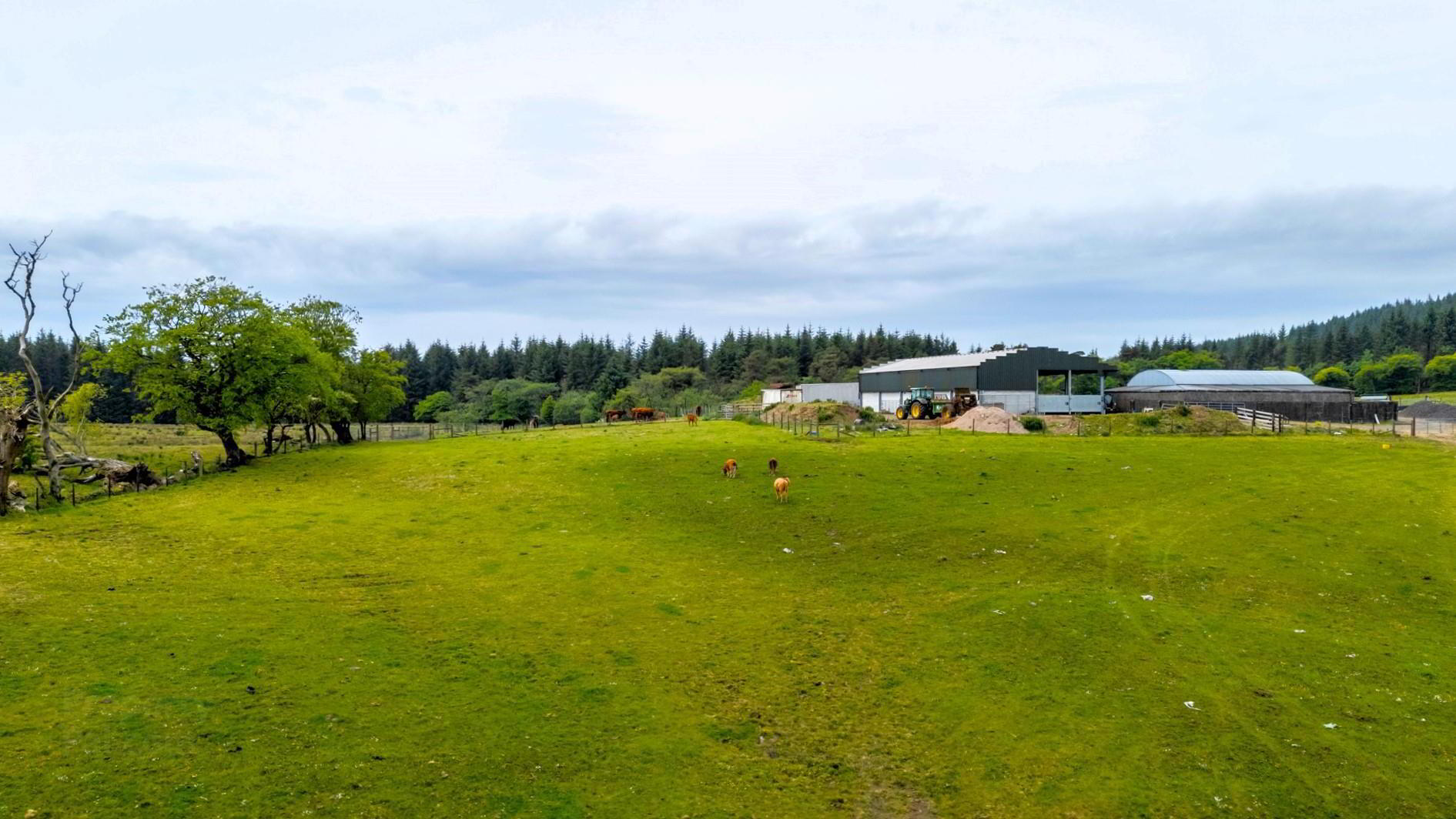Land, Yard & Outbuildings At 13 of 14