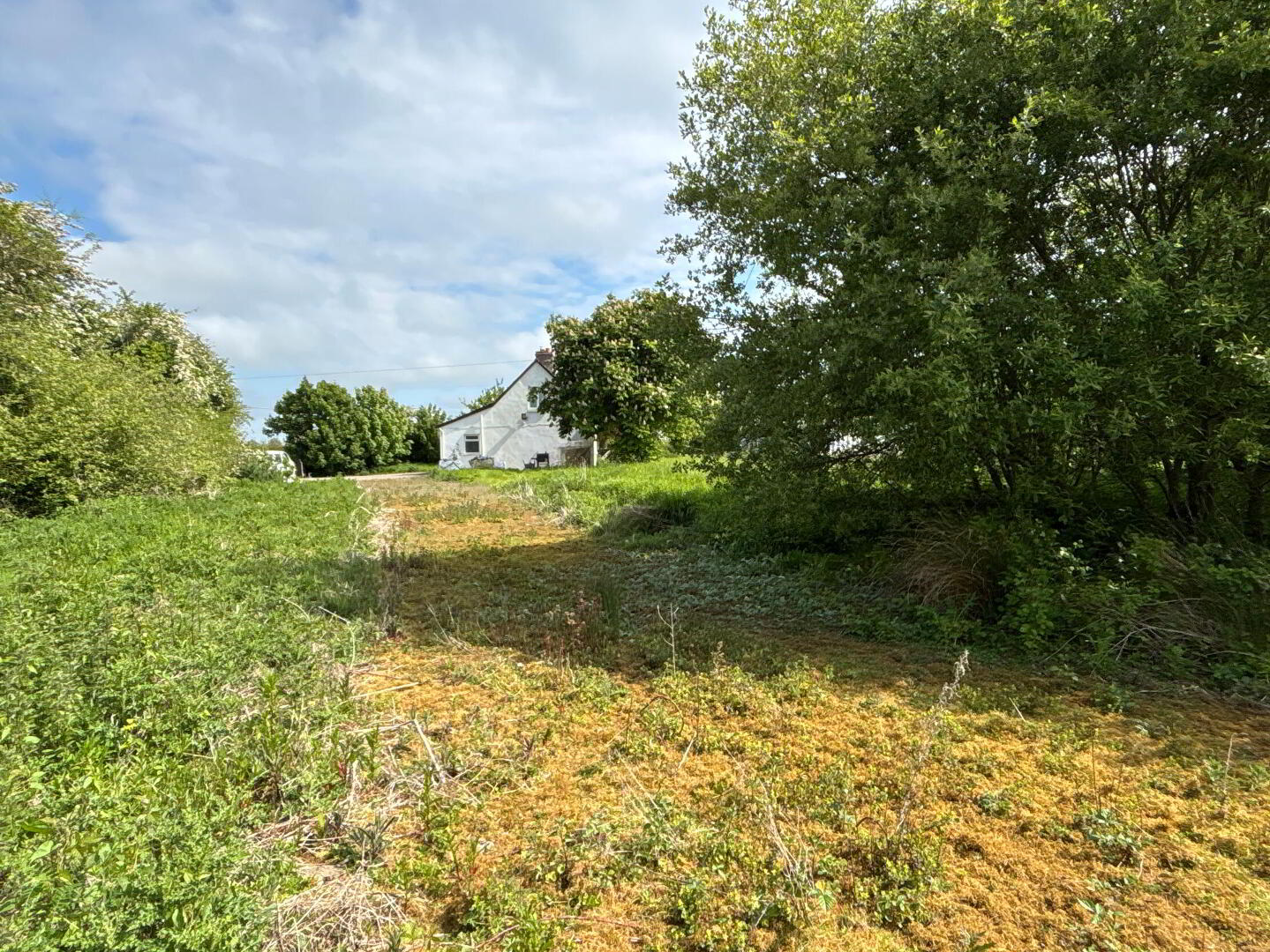 Ballycurnane Lisronagh 16 of 17
