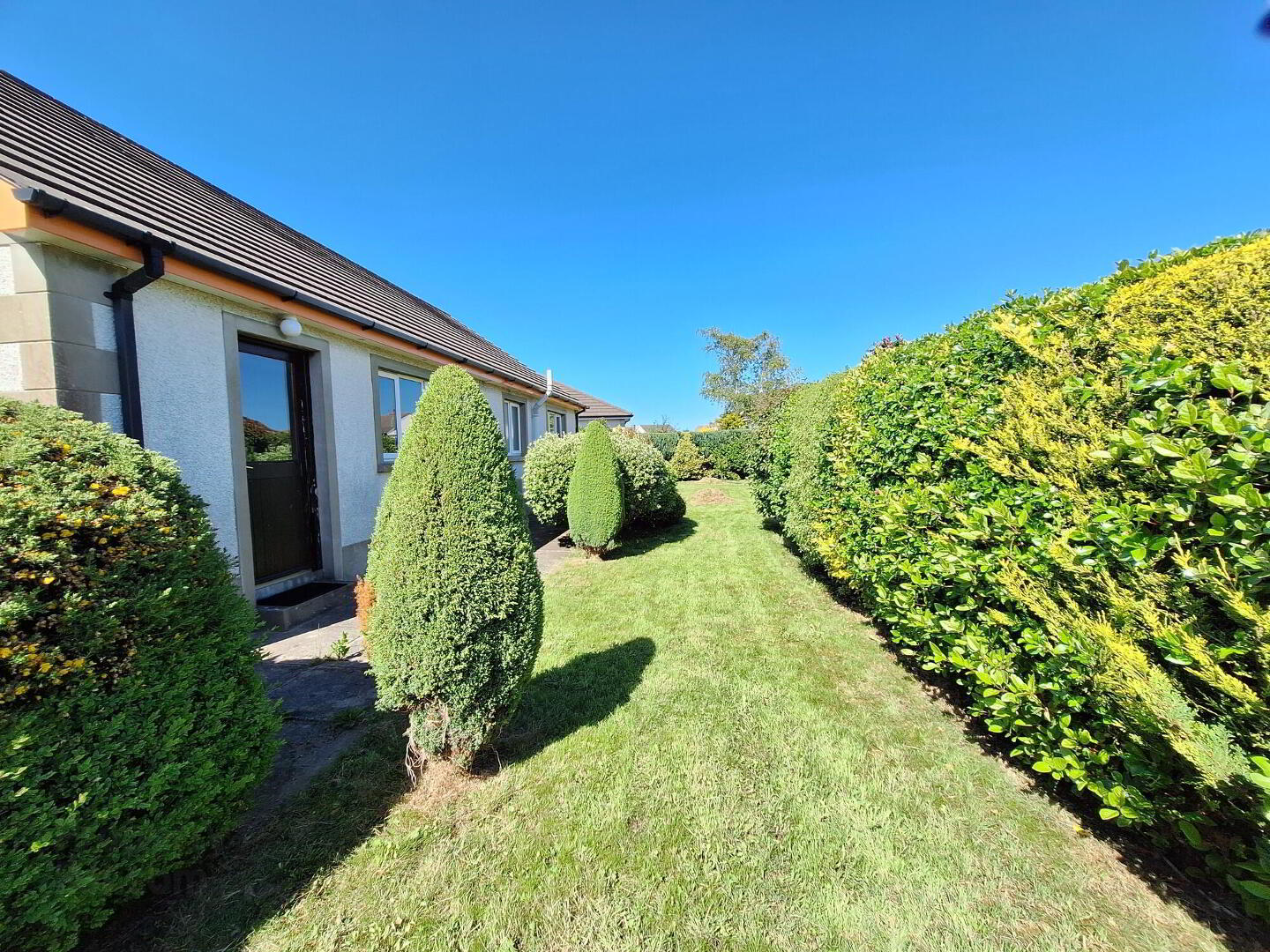 26 Whitehall Avenue 18 of 19