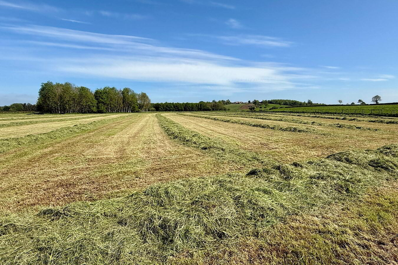 C. 16.7 Acres At 3 of 7