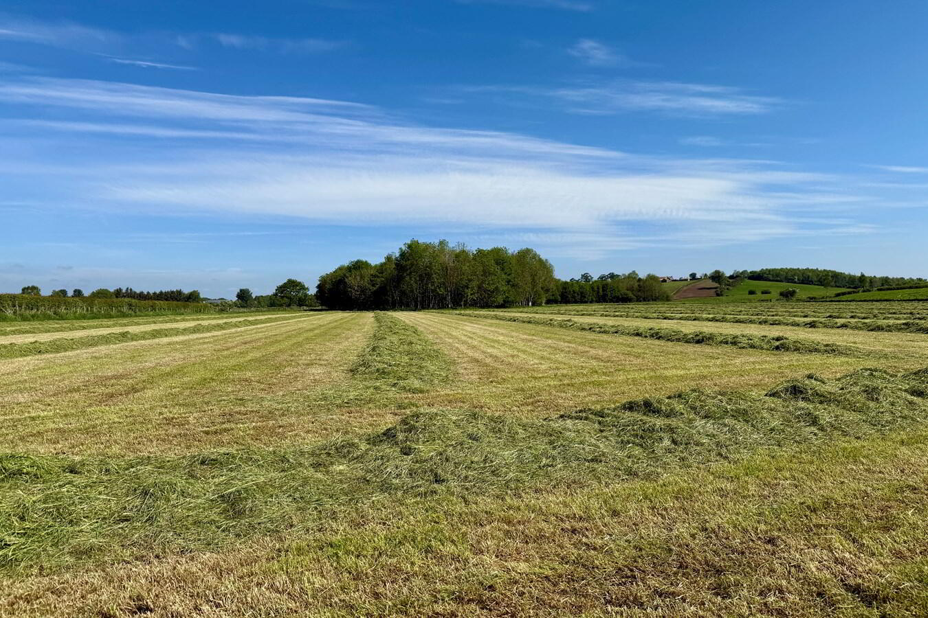 C. 16.7 Acres At 4 of 7
