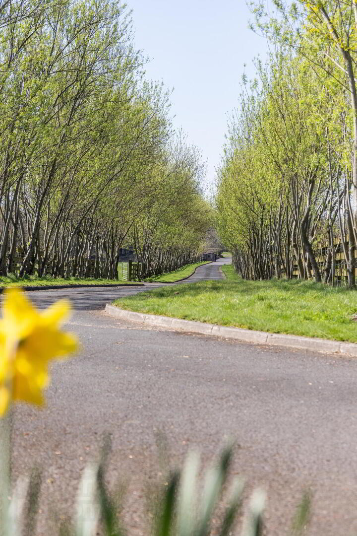 Hollytree Farm, 57 Ballyclare Road 5 of 23