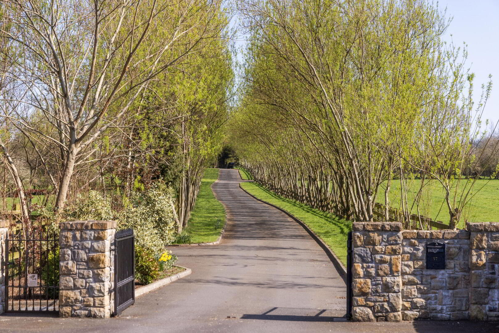 Hollytree Farm, 57 Ballyclare Road 4 of 23