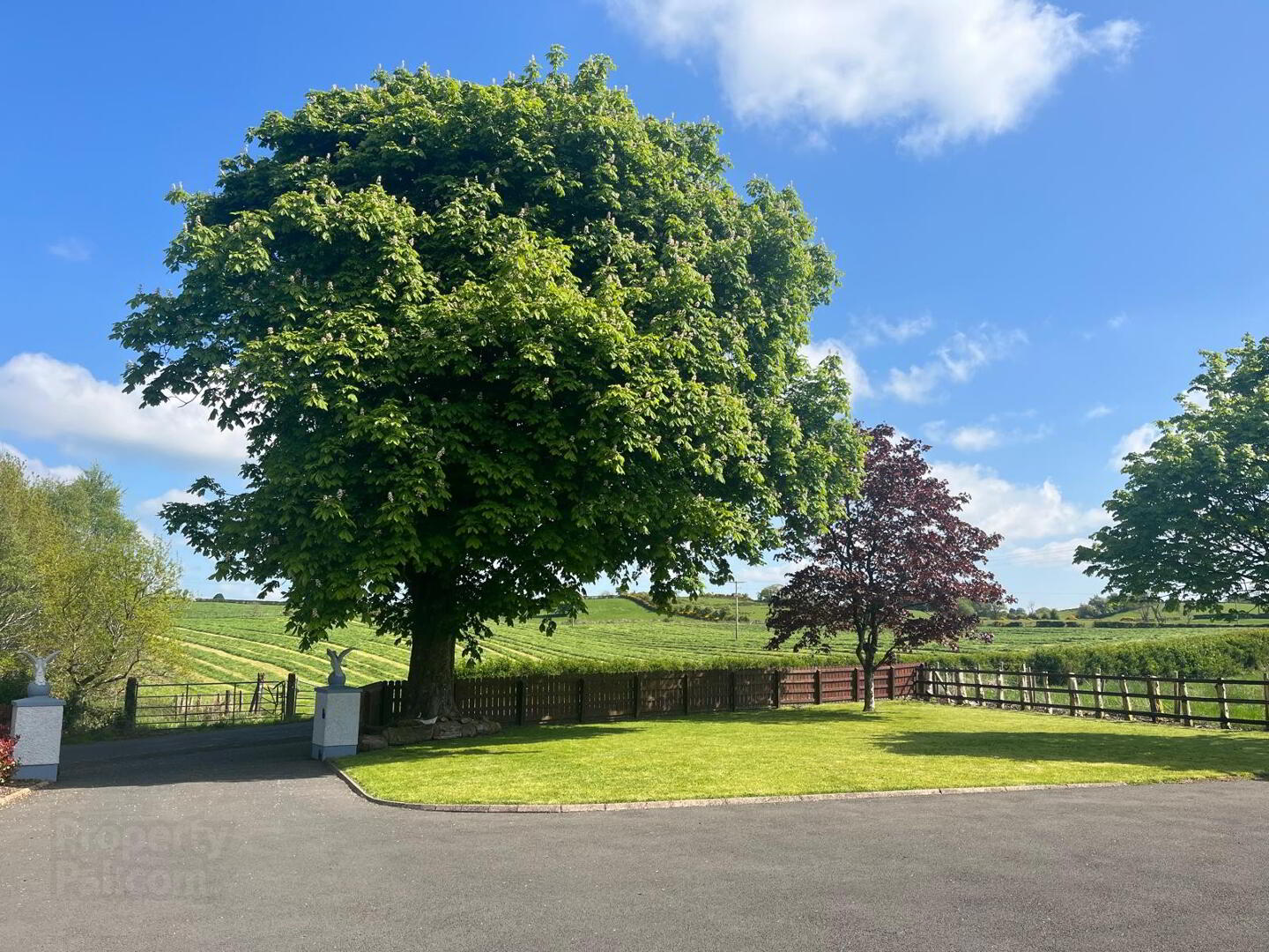 143 Kilnahusogue Road 13 of 51