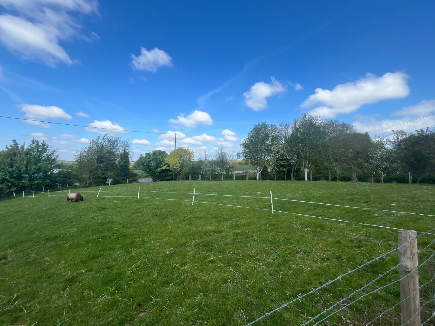 143 Kilnahusogue Road 47 of 51