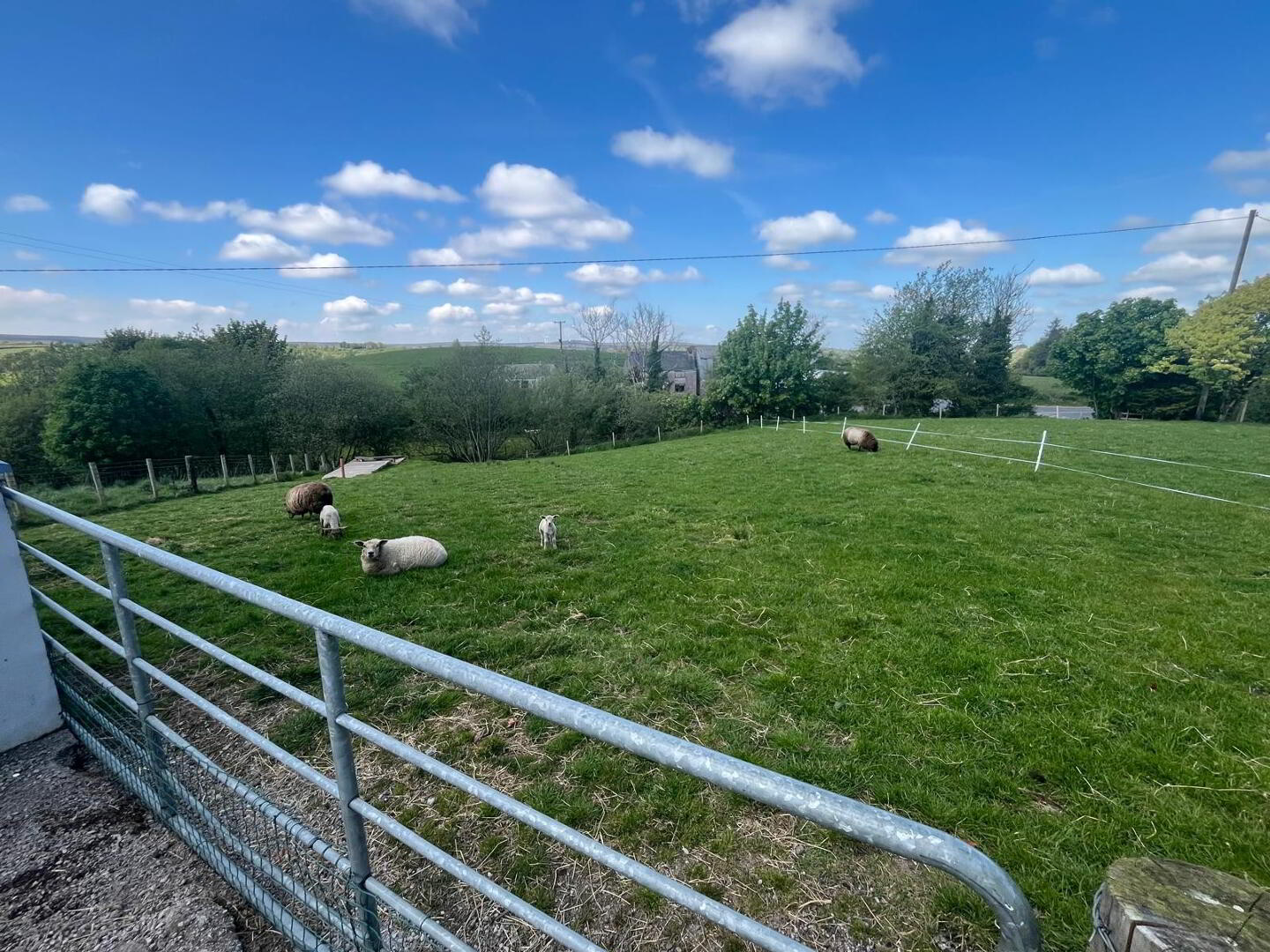 143 Kilnahusogue Road 48 of 51