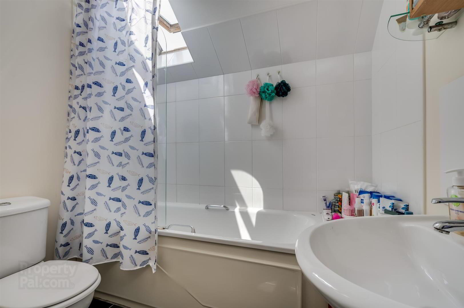 57 Willowfield Street 15 of 16