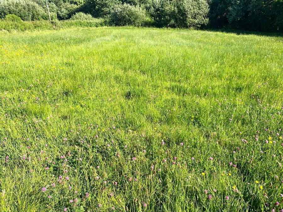 Dromore 24 of 25