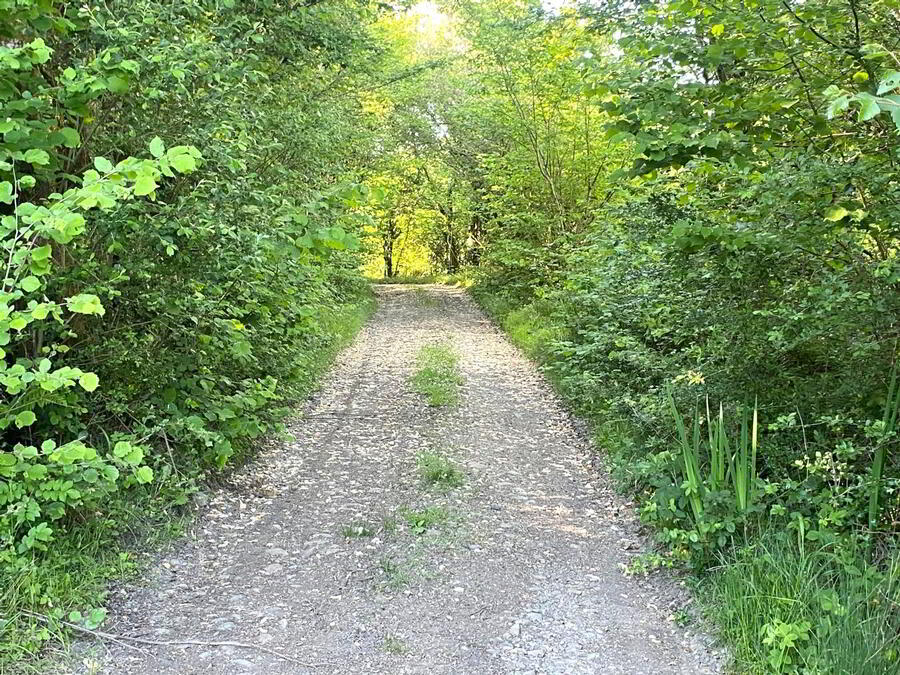 Dromore 25 of 25