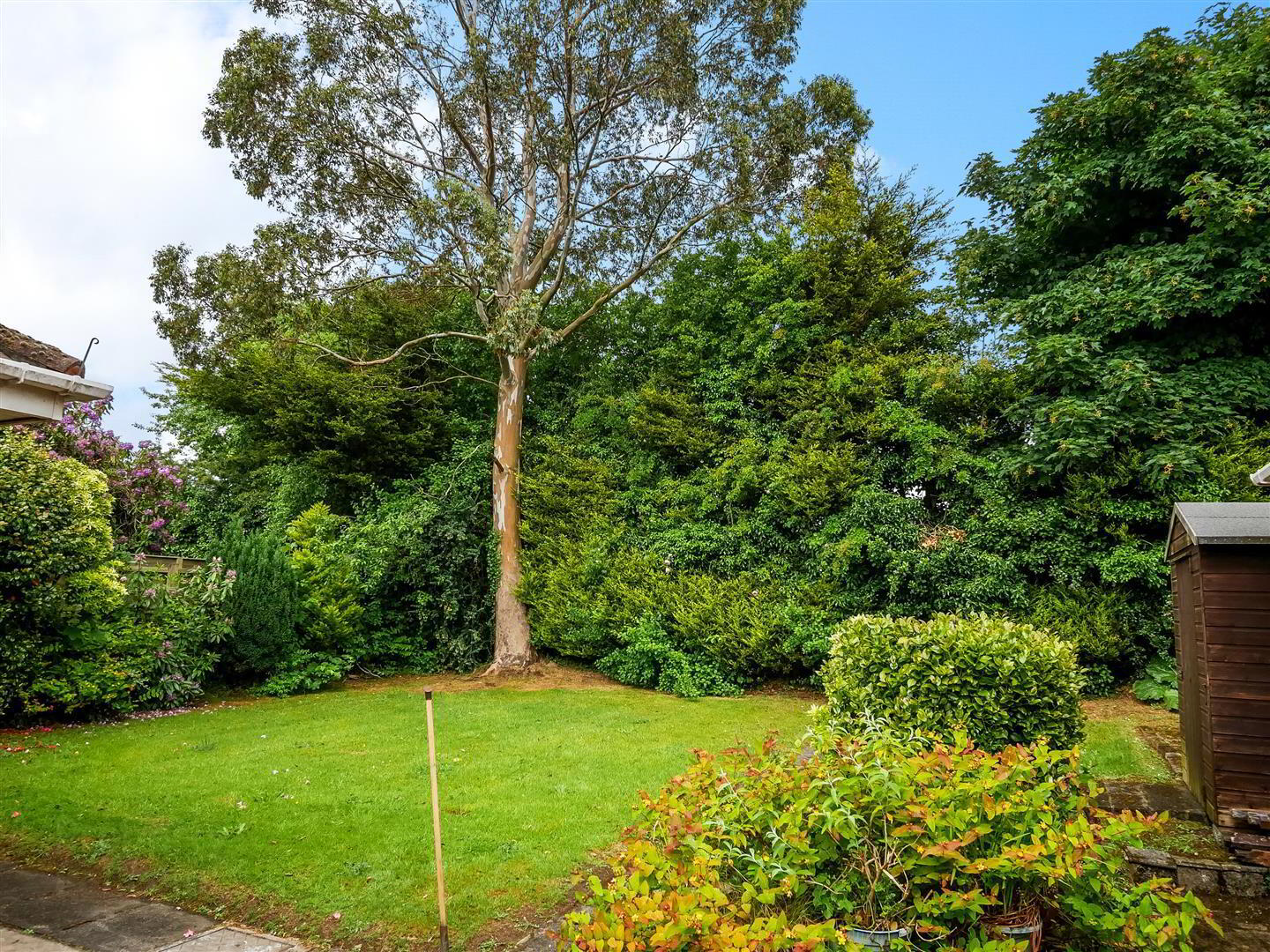 17 Beechill Park Avenue 10 of 12