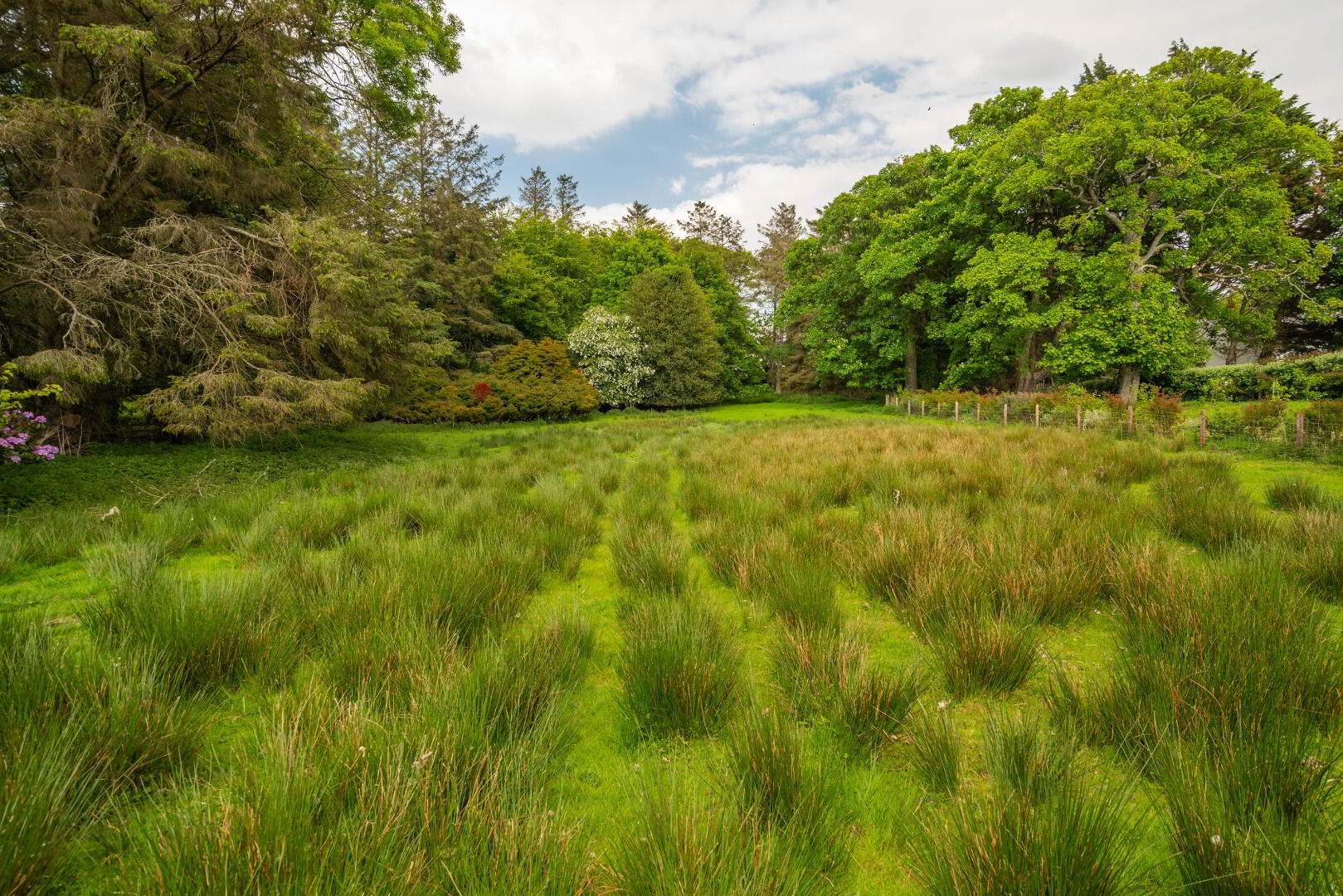 Mousehall, Carrowmullan 59 of 66