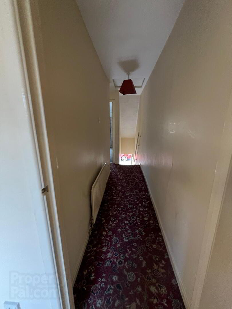 21 Patrick Street 13 of 19