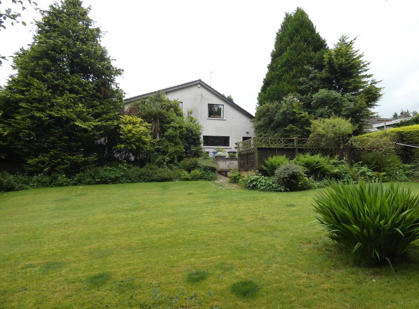 8 Beech Hill 37 of 40