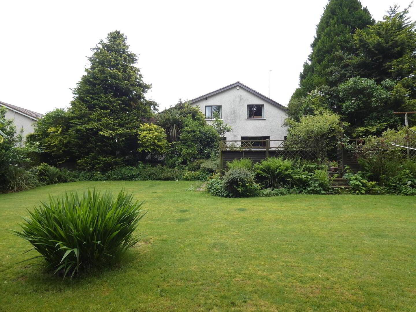 8 Beech Hill 38 of 40