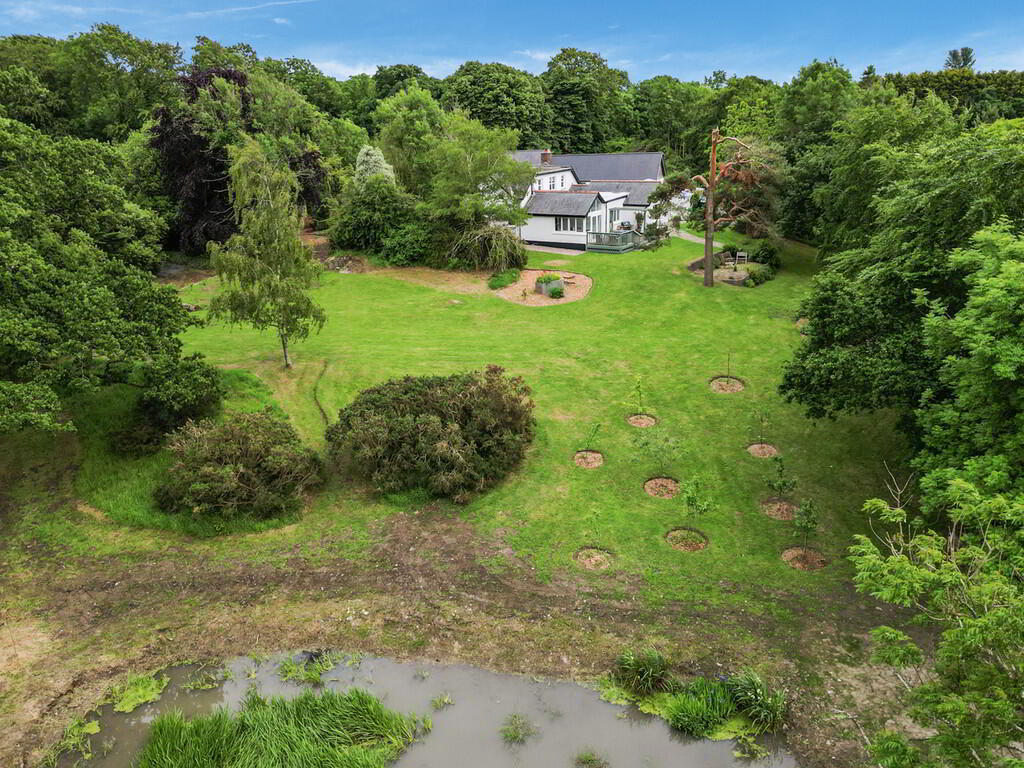 29 Manse Road 52 of 55