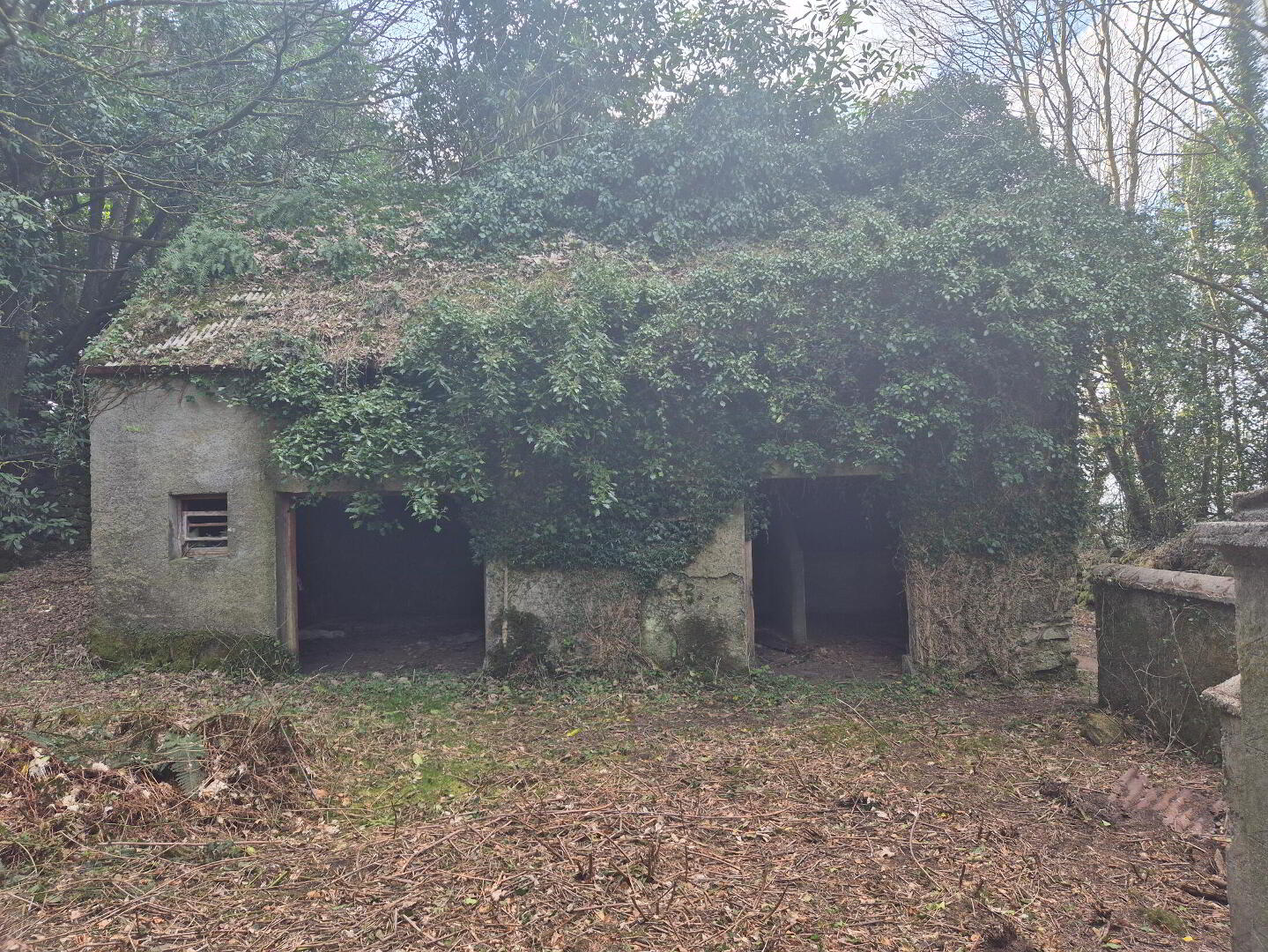Crannagh 3 of 6
