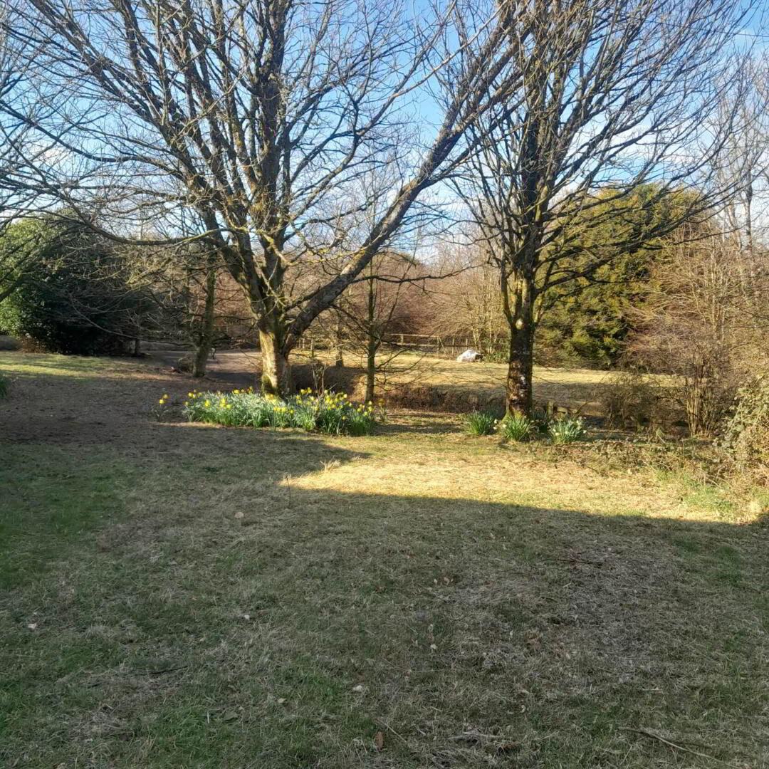 Lot 1 (house 0.75 Acre) 42 of 45