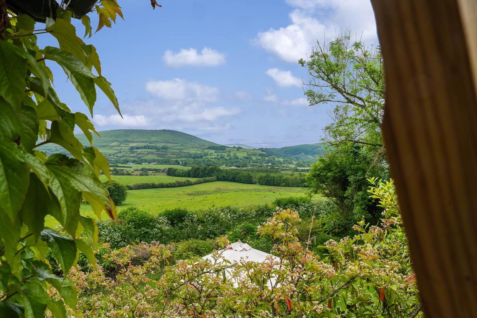 Lot 1 (house 0.75 Acre) 34 of 45