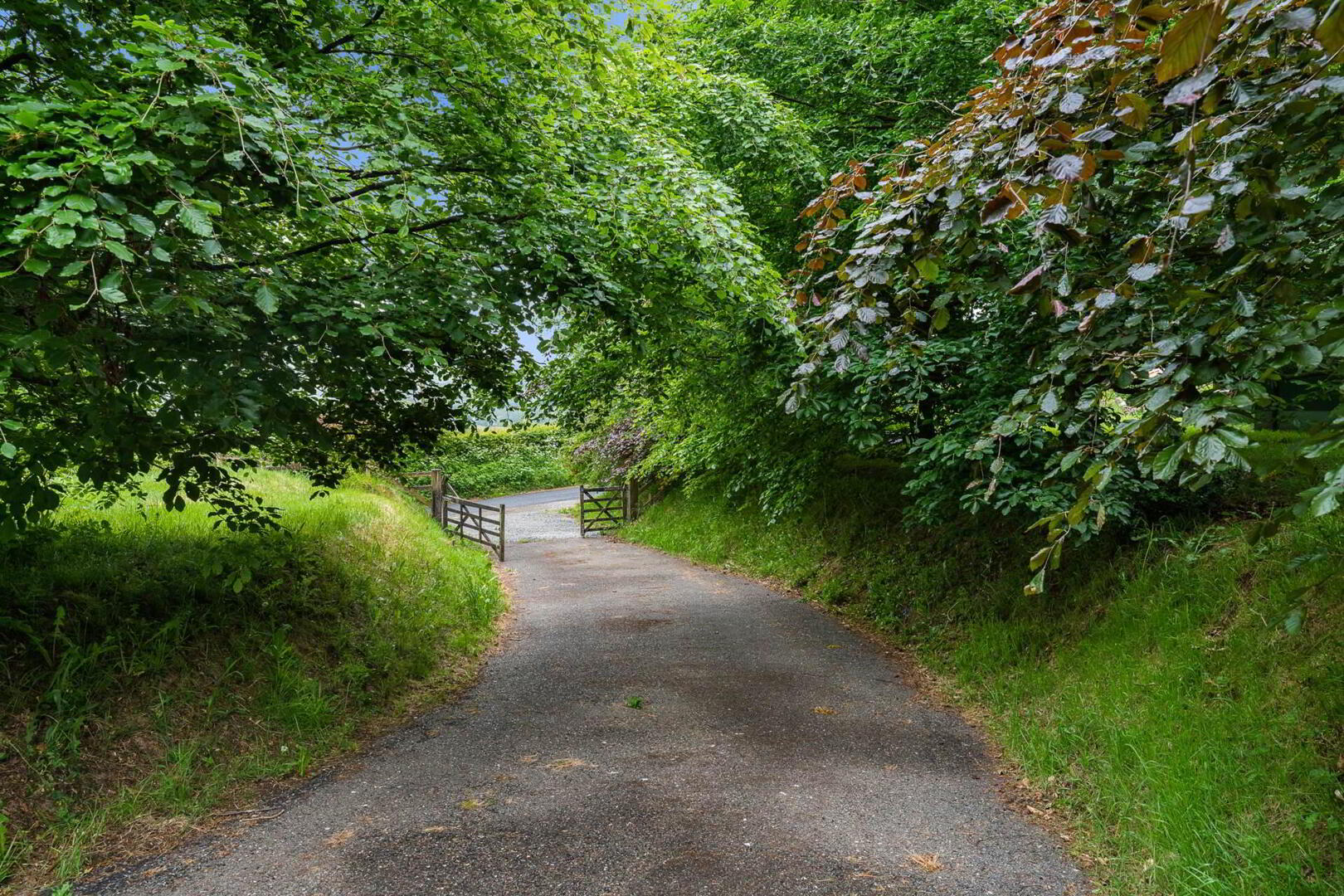 Lot 2 (, 1.25 Acre Site) 1 of 6