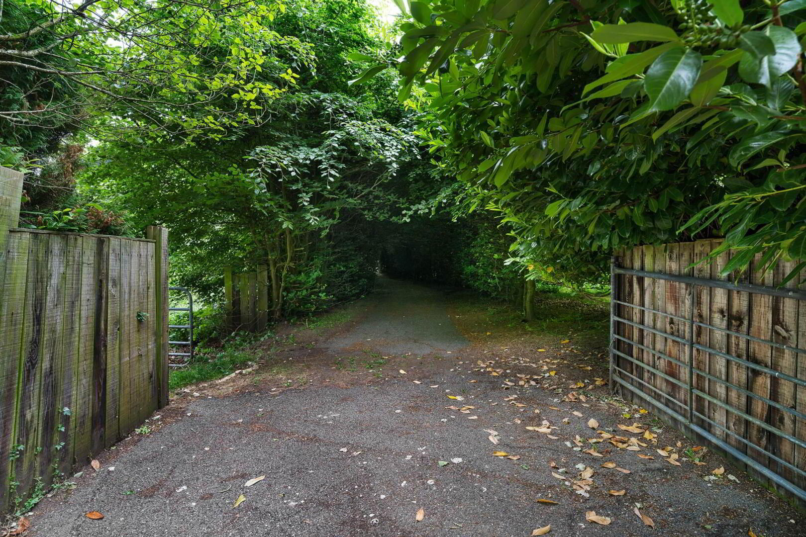Lot 2 (, 1.25 Acre Site) 3 of 6