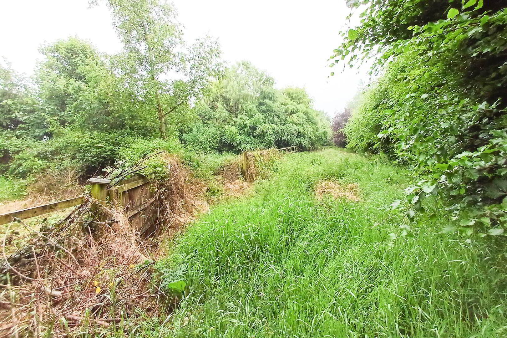 Lot 2 (, 1.25 Acre) 8 of 13