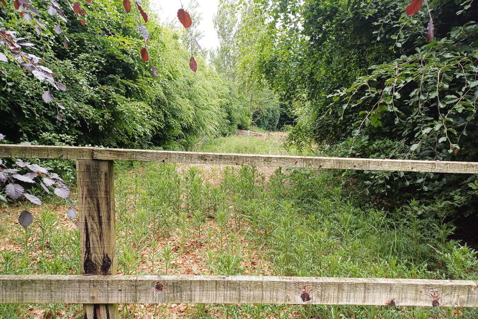 Lot 2 (, 1.25 Acre) 9 of 13