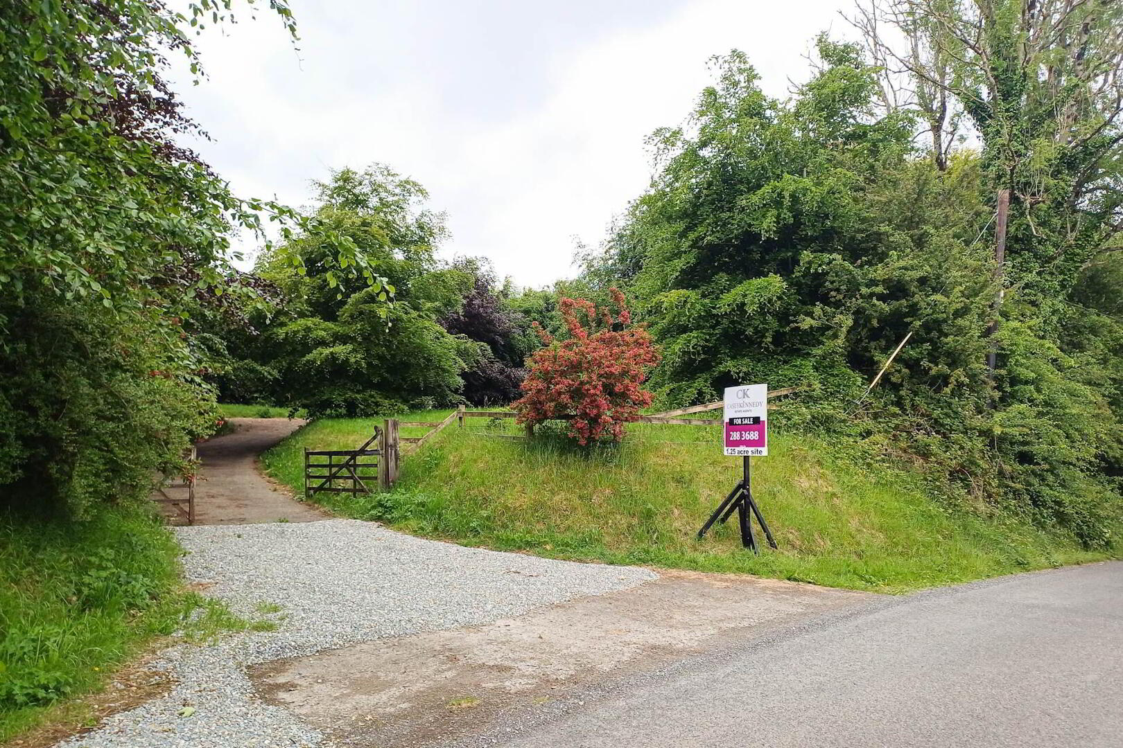 Lot 2 (, 1.25 Acre) 1 of 13