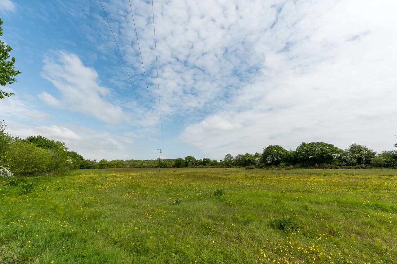 5.51 Acres Of Land At, Holy Cross 4 of 6