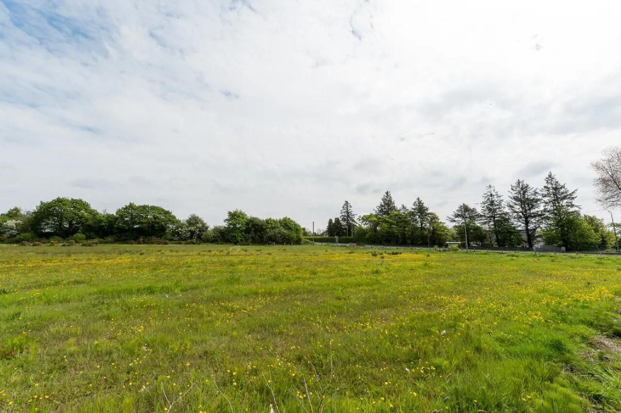 5.51 Acres Of Land At, Holy Cross 5 of 6