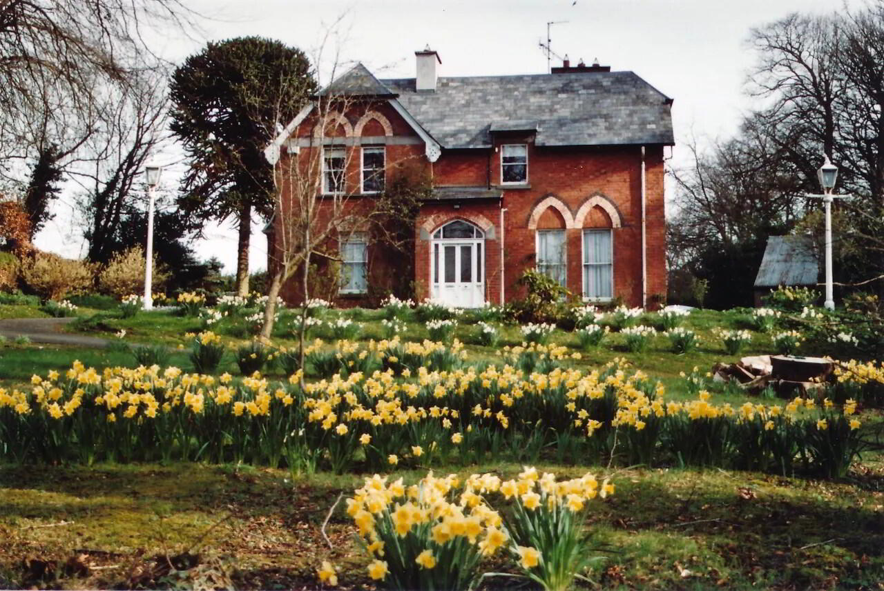 The Beeches, Coolshannagh 16 of 21