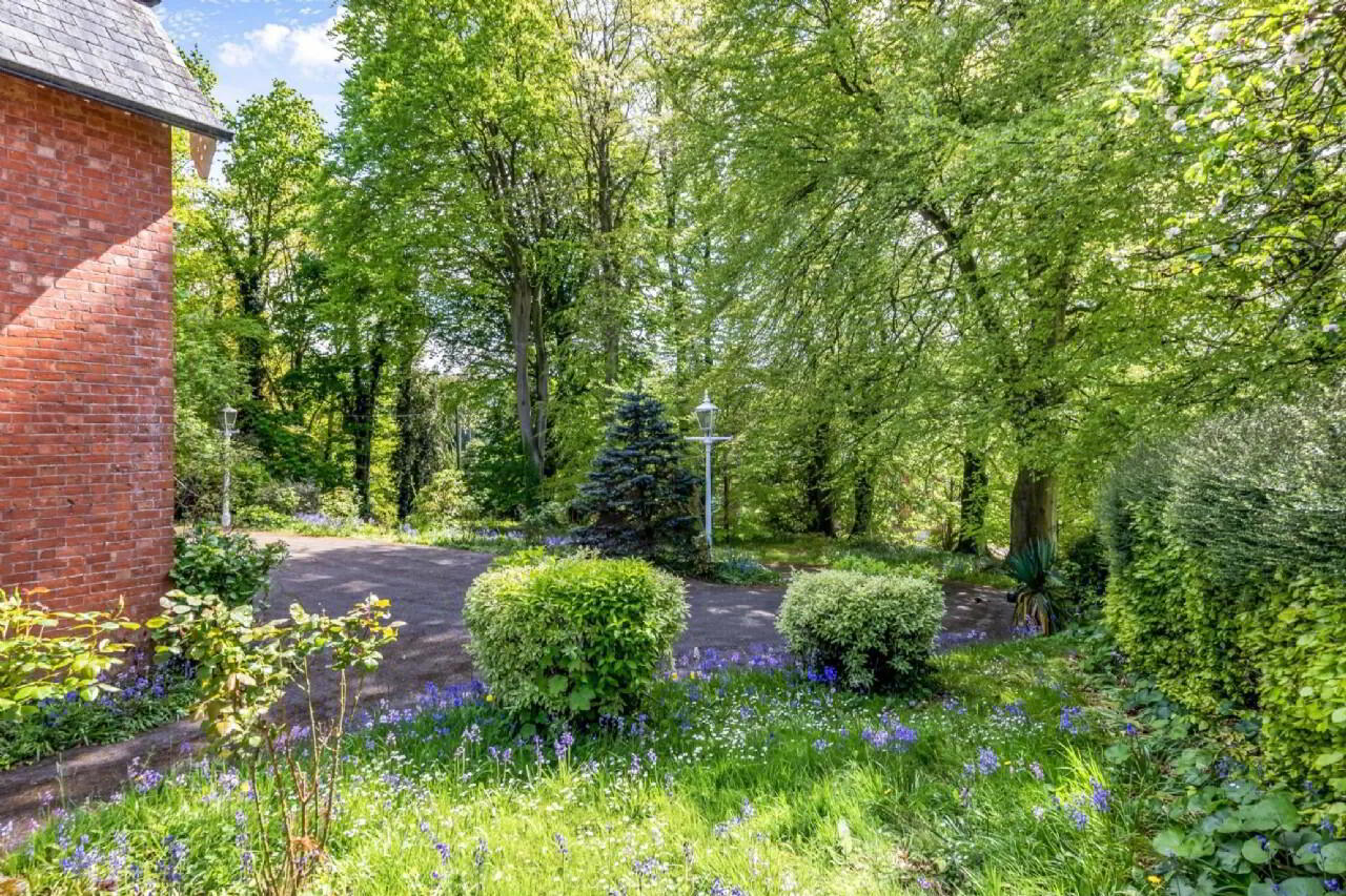The Beeches, Coolshannagh 19 of 21