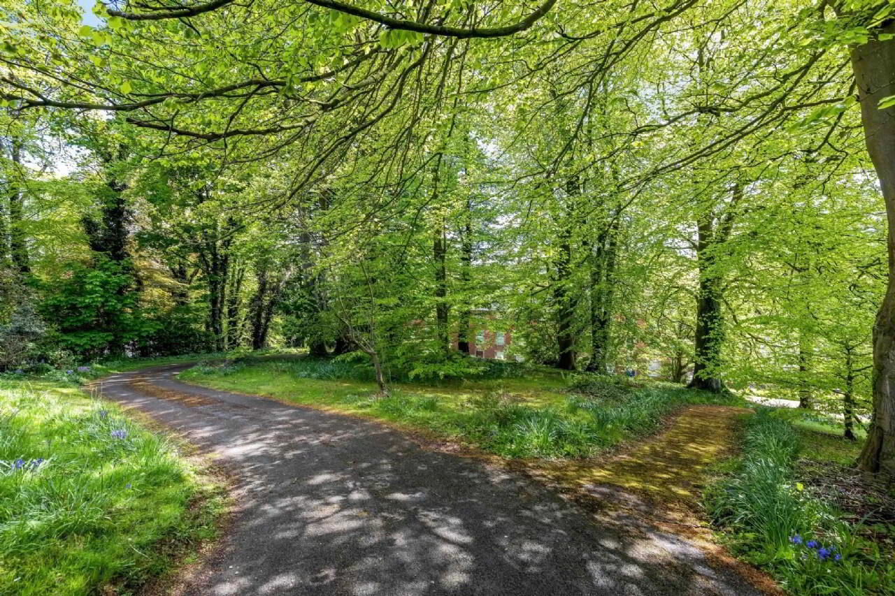 The Beeches, Coolshannagh 21 of 21